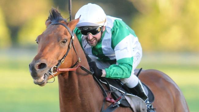 Larry Cassidy will reunite with Collaboration in the Lismore Cup. Picture: Trackside Photography, Grant Peters