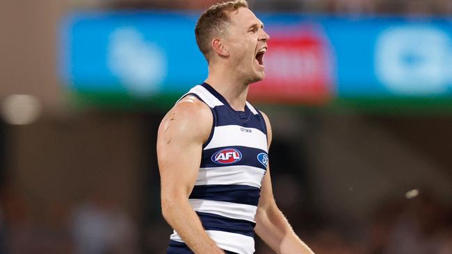 Cats skipper Joel Selwood puts the icing on the cake for Geelong.