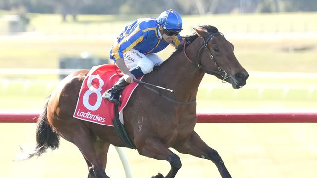 Promising filly Hypothetical will chase a second straight win when she contests the last race at Echuca on Friday. Picture: Racing Photos via Getty Images.
