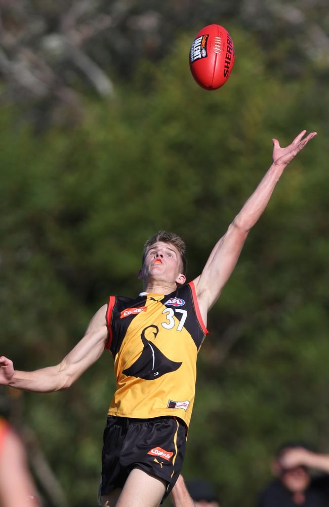 Orchard reaches for a mark. (Photo by Rob Lawson/AFL Photos)