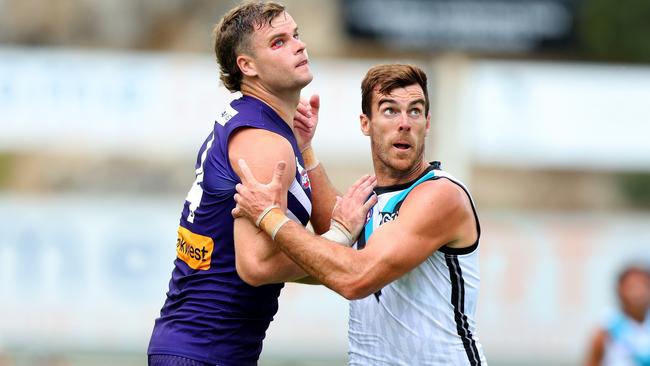 Sean Darcy had his way with Scott Lycett. (Photo by James Worsfold/AFL Photos/via Getty Images)