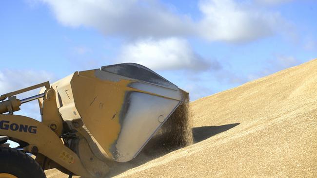 Barley growers will come under pressure as China imposes tariffs. Picture: Supplied.