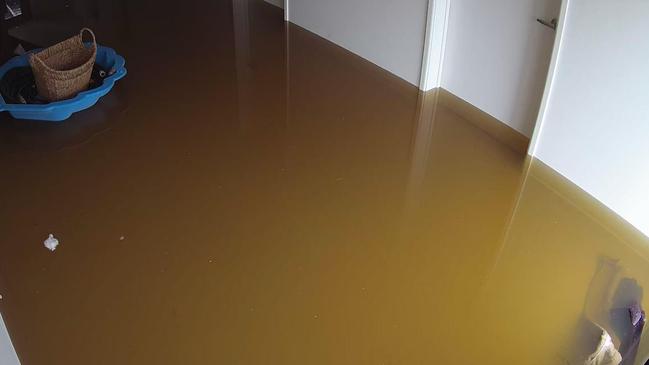 CCTV picture of flooding at Shane McNamara's property at Carina in the aftermath of Cyclone Alfred