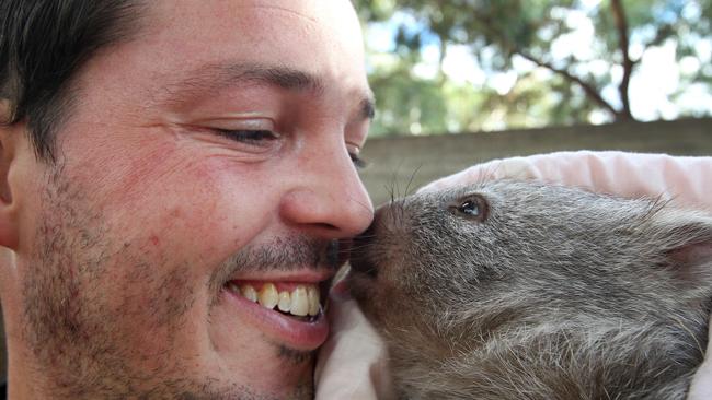 Bonorong Wildlife Sanctuary owner Greg Irons, pictured with eight-month-old wombat Maria, says he sees no benefit whatsoever in watering down the Anti-Discrimination Act. Picture: ROGER LOVELL