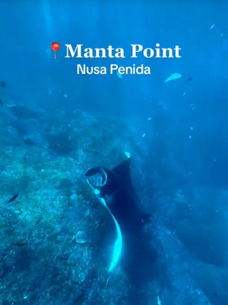 It’s also one of the main dive sites in Bali where you can spot manta rays. Picture: TikTok