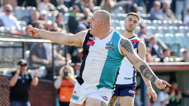 EDFL: St Albans v Hillside at Coburg City Oval, Coburg. 27th August. No 23 of Hillside celebrates his goal.Picture : George Sal