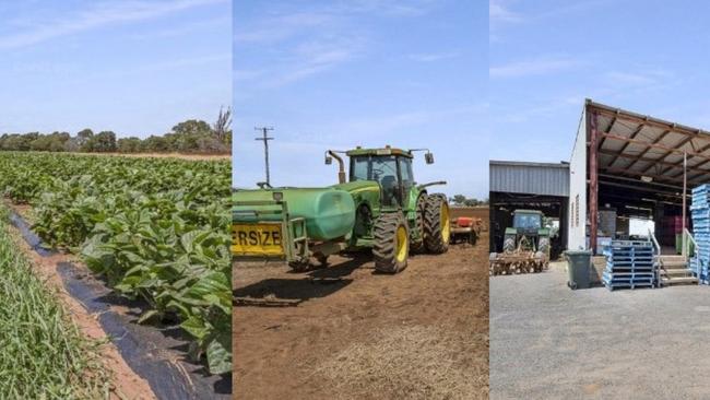 As the foodbowl of the state Bundaberg farming land remains a hot ticket item.