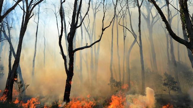 A vegetation fire is burning near Kilkivan. File photo.