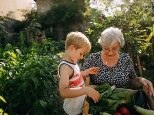 My MIL didn’t feed my kids because she’s vegetarian