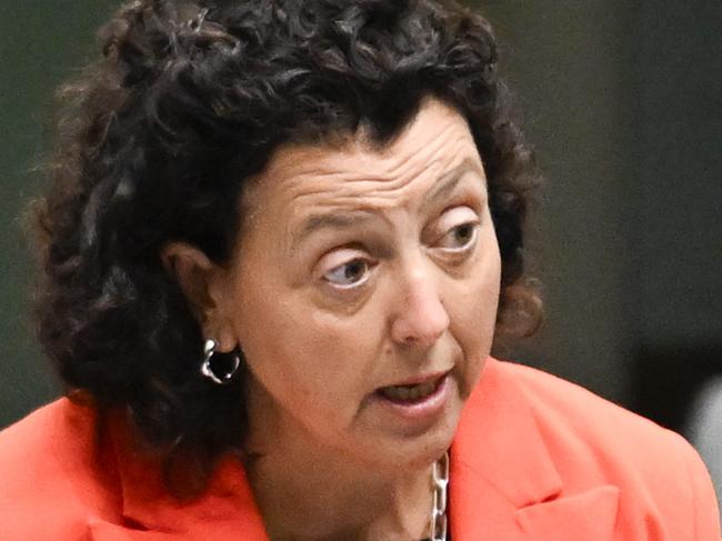 CANBERRA, AUSTRALIA  - NewsWire Photos - February 6, 2025: Independent Monique Ryan during Question Time at Parliament House in Canberra. Picture: NewsWire / Martin Ollman