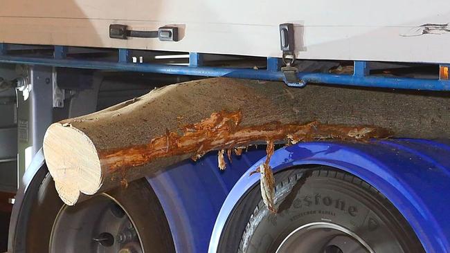 A large branch torn off by the truck. Picture: Frank Redward