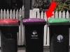 Aussies are just realising this little-known bin night rule
