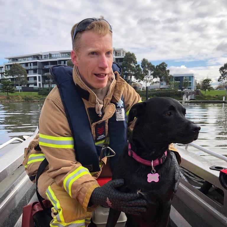 Cool as a cucumber, Indy gets the experience of a lifetime in a boat.