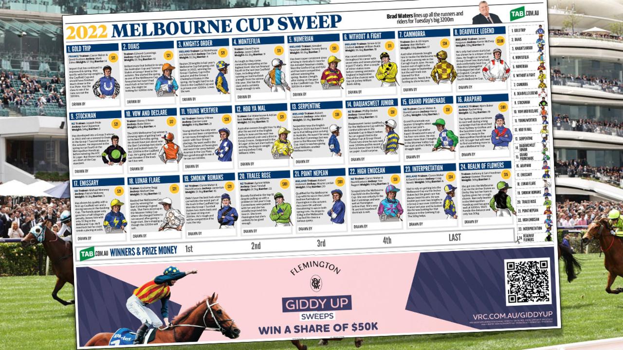 Download your 2022 Melbourne Cup sweep poster Herald Sun