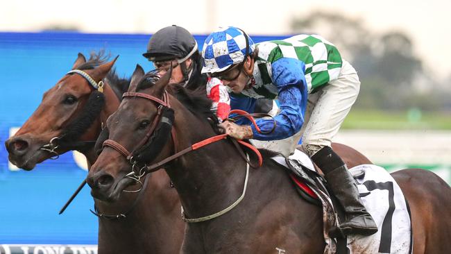 Astero is one of six rides for Molly Bourke on Saturday. Picture: Jeremy Ng-Getty Images