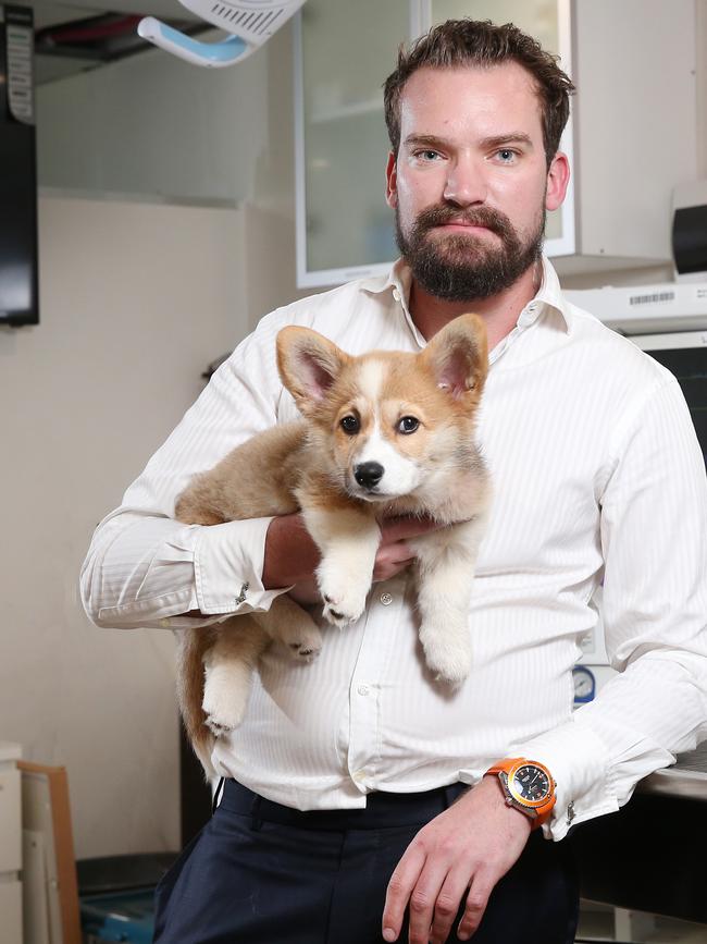 “We’re lucky were in a time when owners do value them (pets), they are sentient being” said Dr Sam Kovac, pictured with Maddie. Picture: Richard Dobson