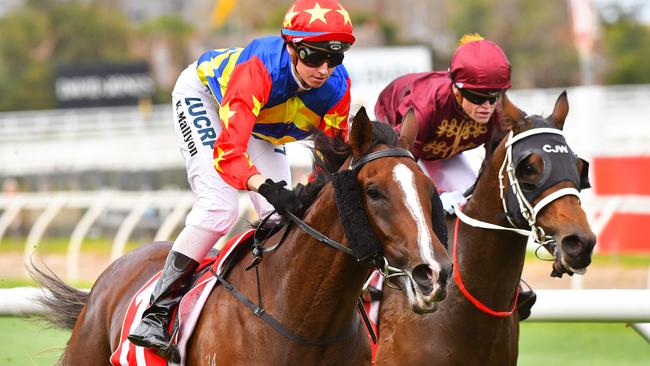 Odeon will be hard to beat in the South Australian Derby.