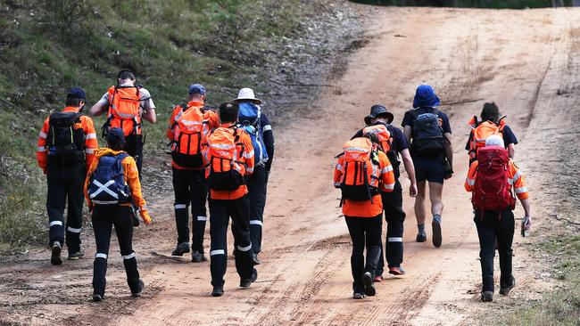 Searchers look for AJ close to his remote home. Picture: NCA NewsWire / Peter Lorimer