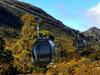 Questions raised over Cradle Mountain cable car ‘delay’