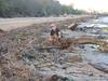 ‘A danger for months’: Dead animals, debris close beaches