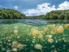 Paradise for divers now just a short flight away