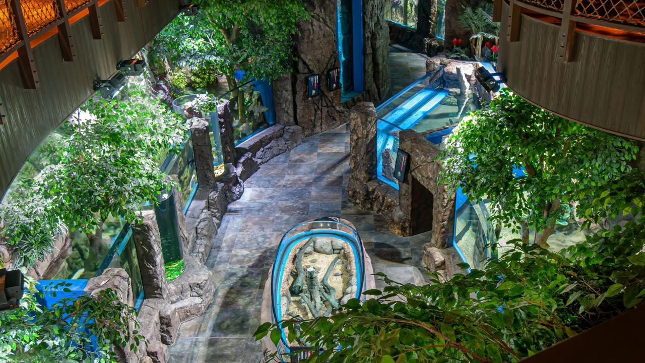 Rainforest theme at the Marassi Aquarium and Underwater Zoo in Bahrain. Photo: Advanced Aquarium Technologies.