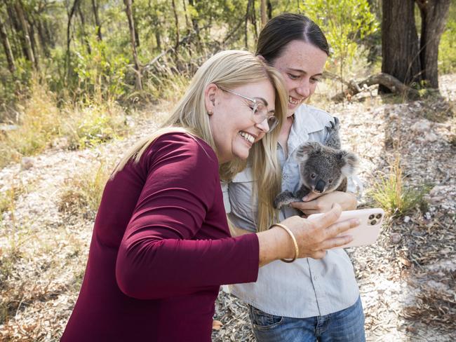 New koala, wildlife support group launches after death of well-known carer