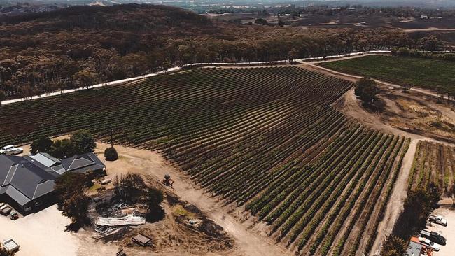 Aerial view of Bowyer Ridge Vineyard in Lobethal after the Cudlee Creek Fire.