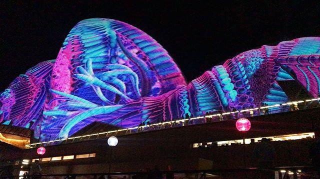 AU NSW:    Sydney Opera House Morphs Into Giant Jellyfish for Vivid Festival   May 26