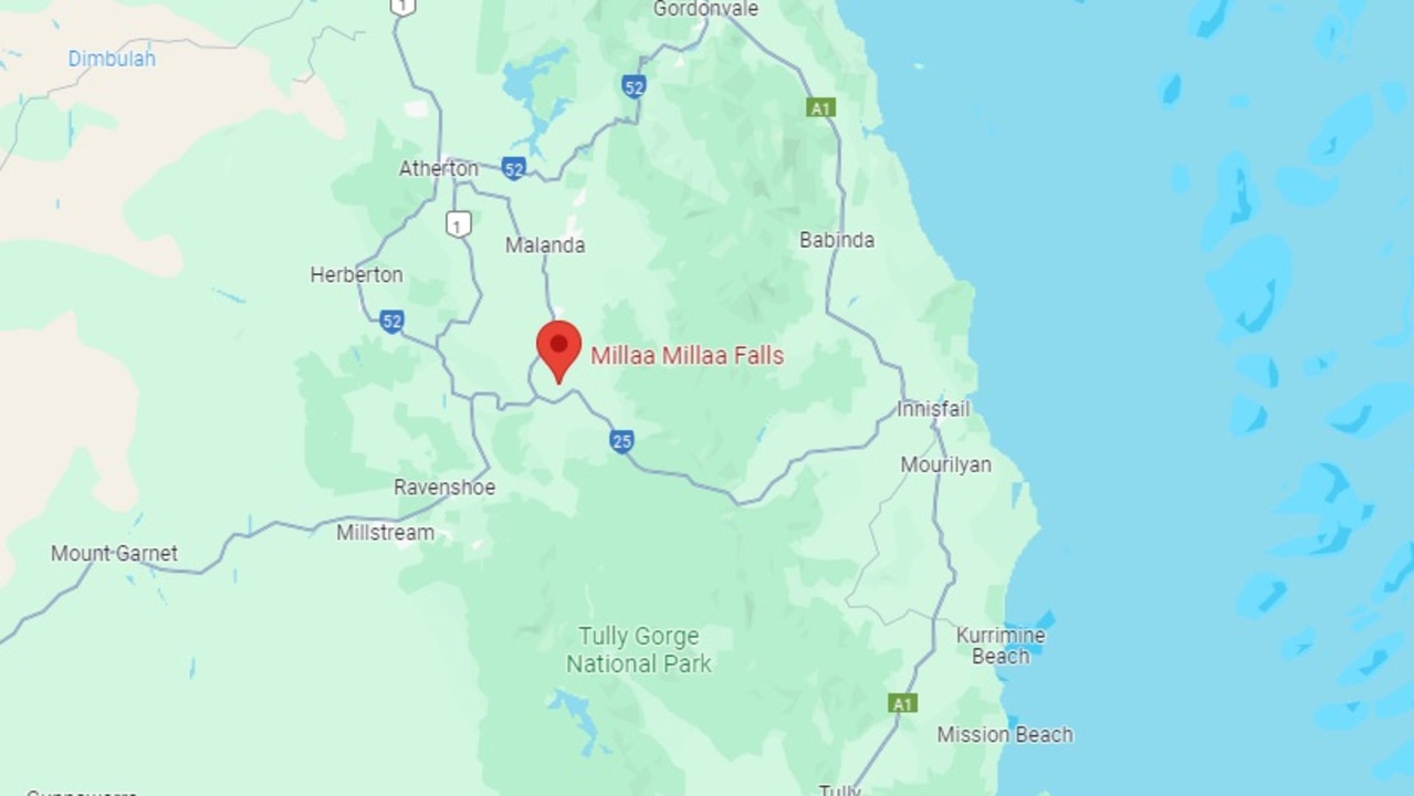 The two men were visiting Millaa Millaa Falls in Queensland. Picture: Google Maps