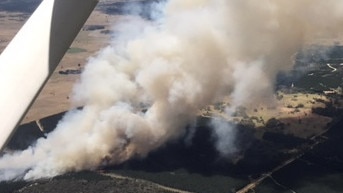 Ellen Louise Howard lied about owning businesses impacted by the Black Summer bushfires. Source: NSW RFS.