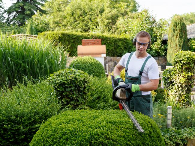 Gardeners typically nab the highest pay packets in regional South Australia. Picture: Supplied