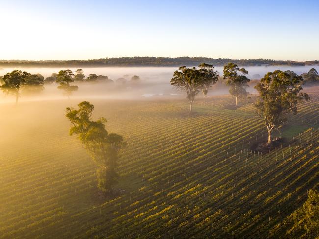 Oakbank, South Australia. Picture: Serio.com.au