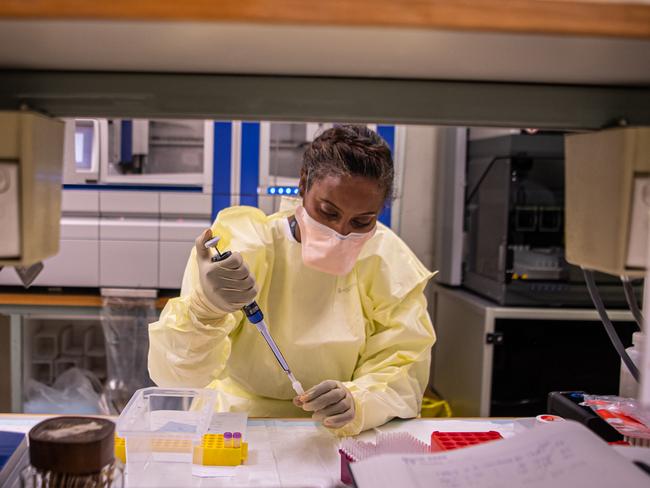 Specialist doctors check samples for coronavirus at the Royal Melbourne Hospital. Picture: Jason Edwards