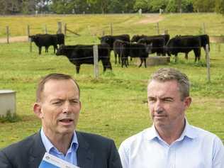 Former Prime Minister Tony Abbott had an each way bet during his speech to a climate change denier group in London last week. Picture: Adam Hourigan