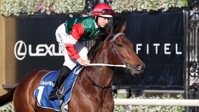 WA superstar Amelia's Jewel will head to the Queensland winter carnival after she contests The Quokka. Picture: Racing Photos via Getty Images