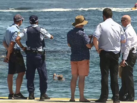 A drowning at Clovelly, NSW. Picture: 9 News