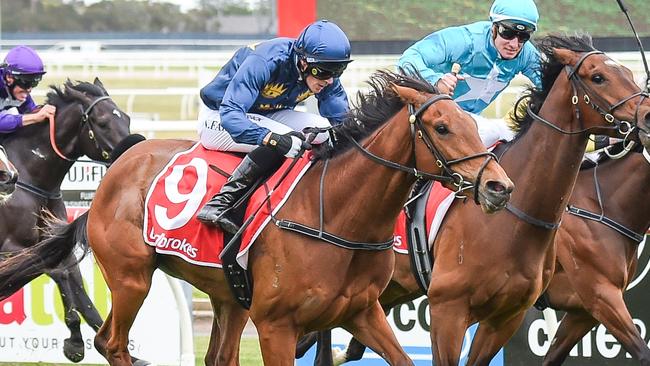 Kicking King ridden by Neil Farley wins the Multidrive Technology Maiden Plate at Geelong Racecourse on November 09, 2024 in Geelong, Australia. Picture: Reg Ryan/Racing Photos