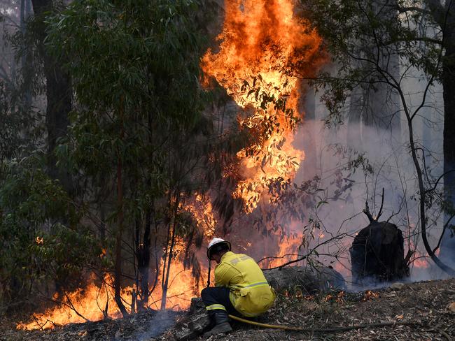 NSW Rural Fire Service crews monitor the burn of a containment line around a property at Colo Heights, north west of Sydney on November 16. Picture: AAP/Dan Himbrechts