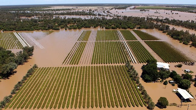 Farmers and councils count cost of southwest Queensland floods | The ...