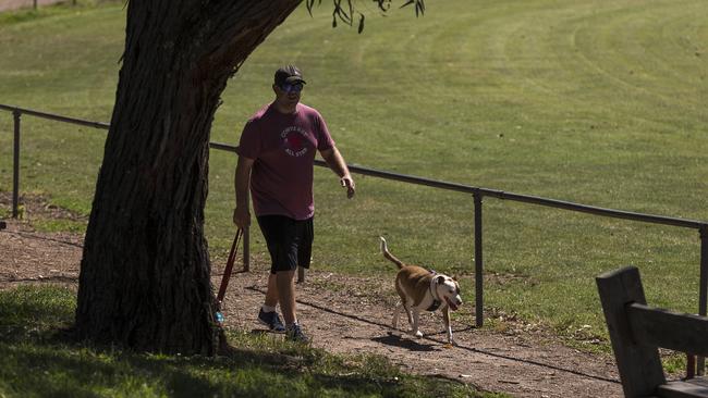 Gracedale Park is an off-leash park in Ringwood East. Photo: Daniel Pockett