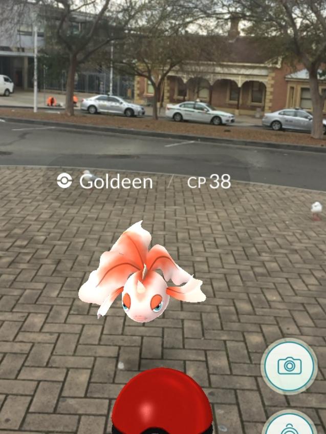 A Goldeen hangs out at the old train station.