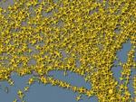 Flights across North America. Picture: Flightradar24