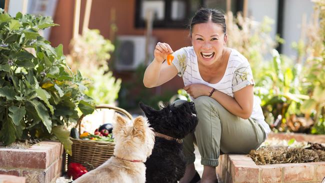 Adelaide's celebrity cook Poh Ling Yeow returns to TV ...