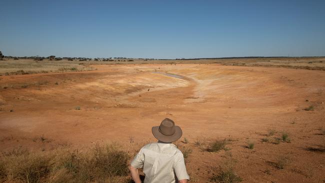 Supervisor Tim Jenkins looks over the plains of Wild Africa. Picture: Brad Fleet