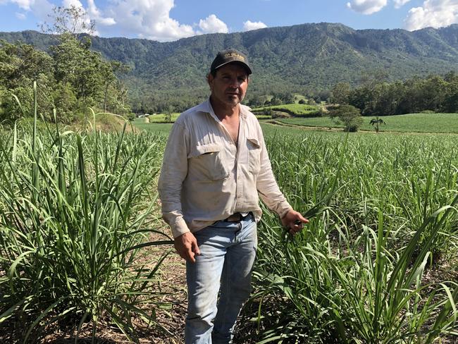 Canegrower Joe Bugeja will be forced to sell two of his sugarcane farms in the Pioneer Valley, west of Mackay, to the Queensland government if the government pushes ahead with the Pioneer-Burdekin pumped hydro project – the centrepiece of its $62bn renewable energy strategy. Picture: Supplied