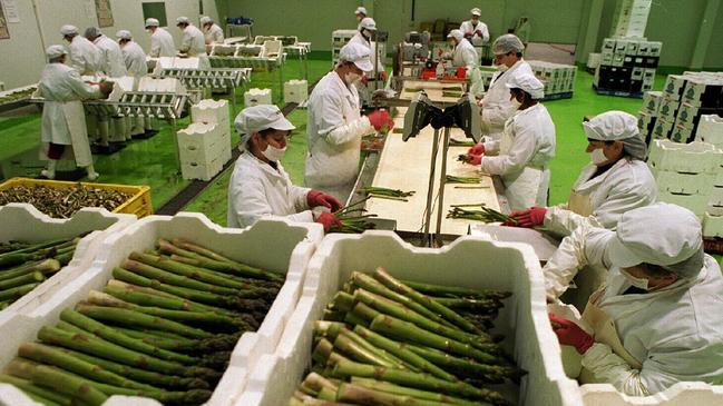 Plant hygiene: Bairnsdale’s Vegco plant is one of the backbone food processors that supports regional Australia.