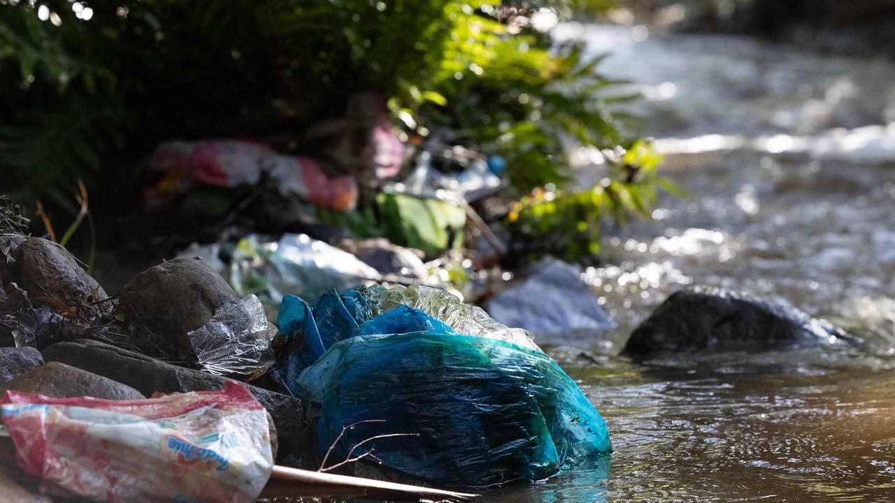 Rubbish has been dumped in the Hobart Rivulet where multiple platypuses have died because of litter. Photo: Hobart Rivulet Platypus/Pete Walsh