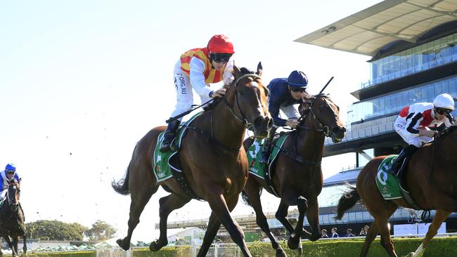 Peltzer winning the Stan Fox Stakes at Randwick. Picture: Getty Images