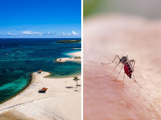 Australians heading to Bali have been warned after a recent surge in dengue fever cases in the region. 
